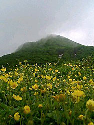 �~���}�L���o�C