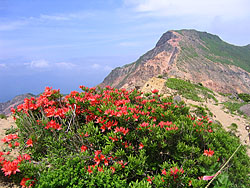 �����Q�c�c�W�Ƌ�����