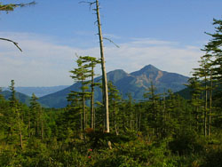 �֒�R�̒��]