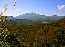 �֒�R������