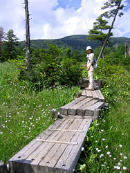 �f�R�������ƃ��^�X�Q