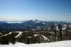 �O�����f�R�̃p�m���}