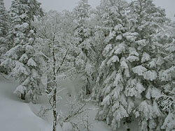 �O�����f�R��3�N���b�h�̕��i