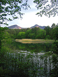 �ܐF���ڗ���