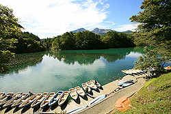 �ܐF���������