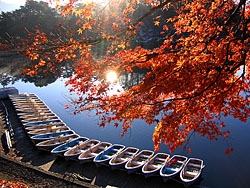 ��������̍g�t