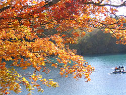 ��������̏H