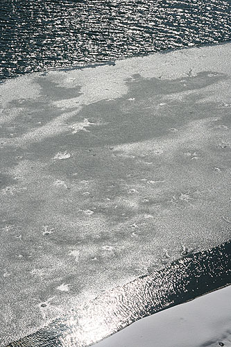 ��������̌��X