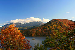 �ז�̔֒�R���]