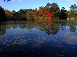 ���֒򃌃��Q��