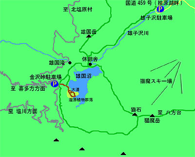 �Y�����n�}