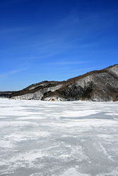 �Ɣ��̃R���g���X�g