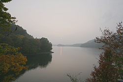 �����΂ɒ��ނڂ��肵���[��