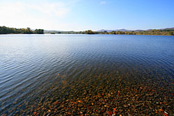 �����΂̔������ΐ��Ɛ�