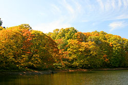 �����΂̍g�t