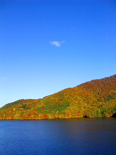 �����΂̖k�Ζ�