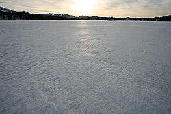 ��Ղɒ��ޗ[��