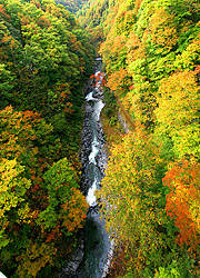 ���[�N���C�����Ð싴���