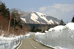 �֒��ȃX�J�C���C����̉�L