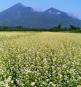 �֒�R�Ƌ�����